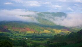 Begin your visa-prepared day with Vietnam’s tranquil ambiance